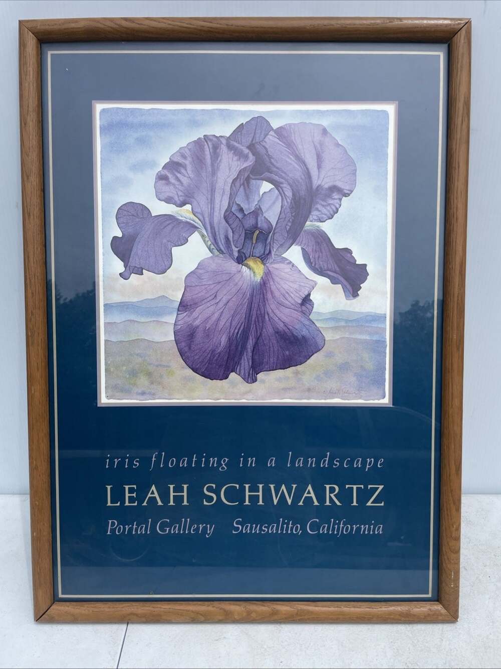 Leah Schwartz “Iris Floating In A Landscape” Promo Poster Portal Gallery